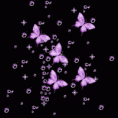 /album/fotogaleria/a0-gifs-animados-mariposas-gif/