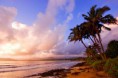 /album/fotogaleria/shutterstock-7013089-525-jpg/