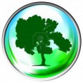 /album/fotogaleria/a4797835-vector-mundo-con-un-solo-rbol-en-jpg/